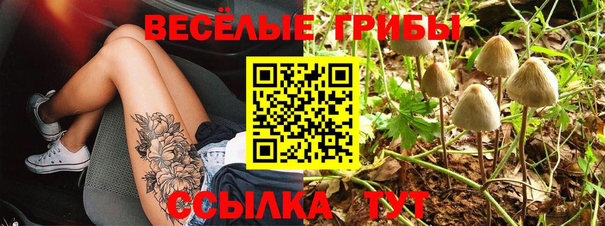 Псилоцибиновые грибы прущие грибы  Вход с VPN  даркнет сайт  Кропоткин 